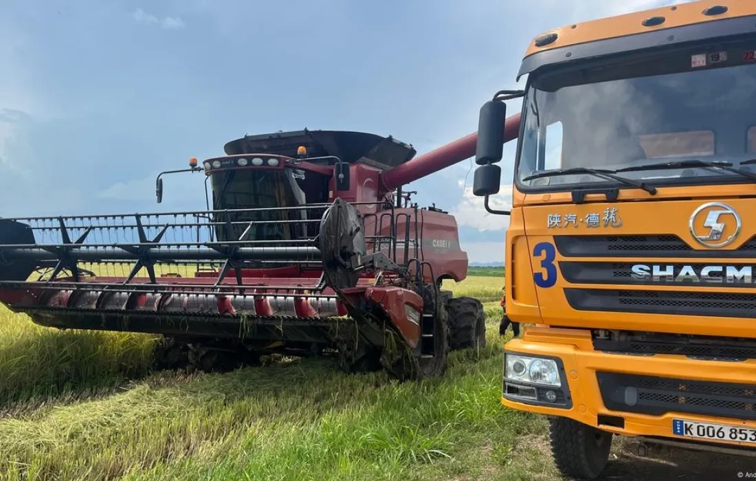 Imagen-NoticiaAgro Imagen-NoticiaAgro