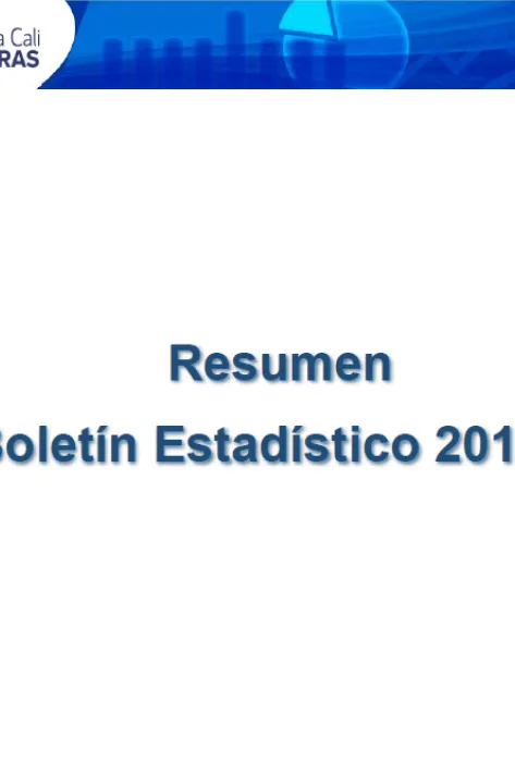 Resumen boletín estadístico 2017-1