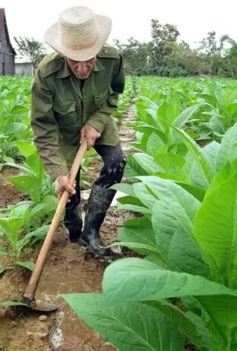 Previsualización-NoticiaAgro